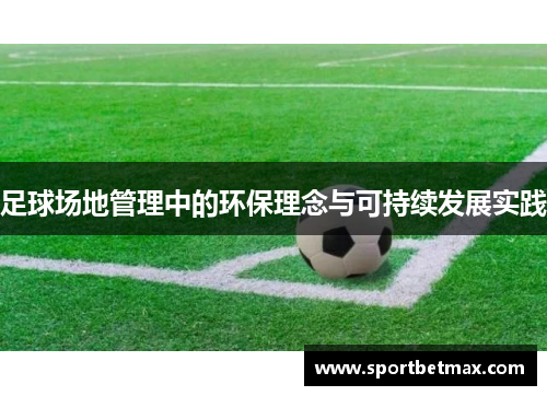 足球场地管理中的环保理念与可持续发展实践